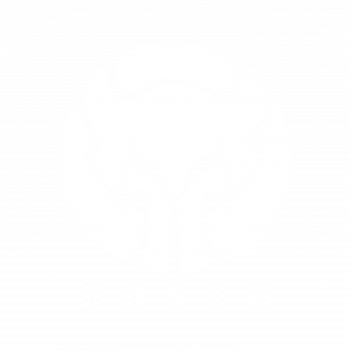 Vagos Wisdom
