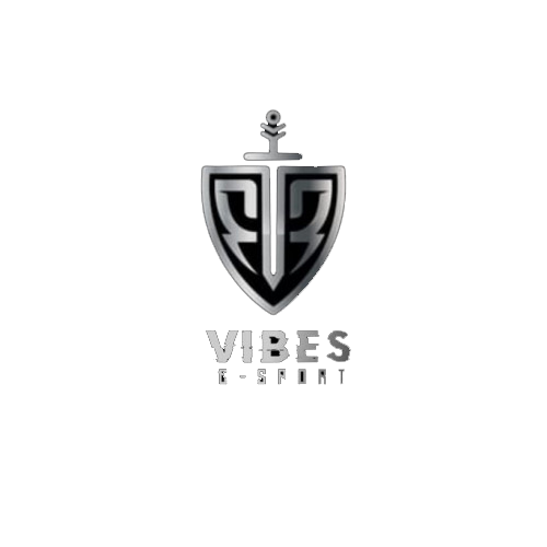 Vibes Esport